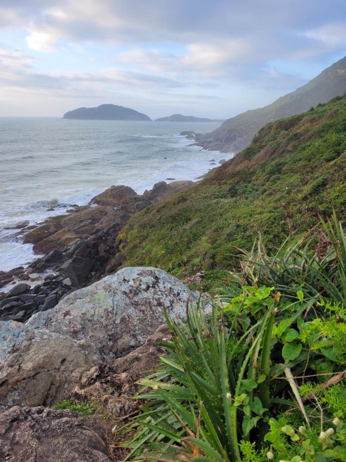 Apartamento Entre A Montanha E Do Mar Apartment Florianópolis Екстериор снимка